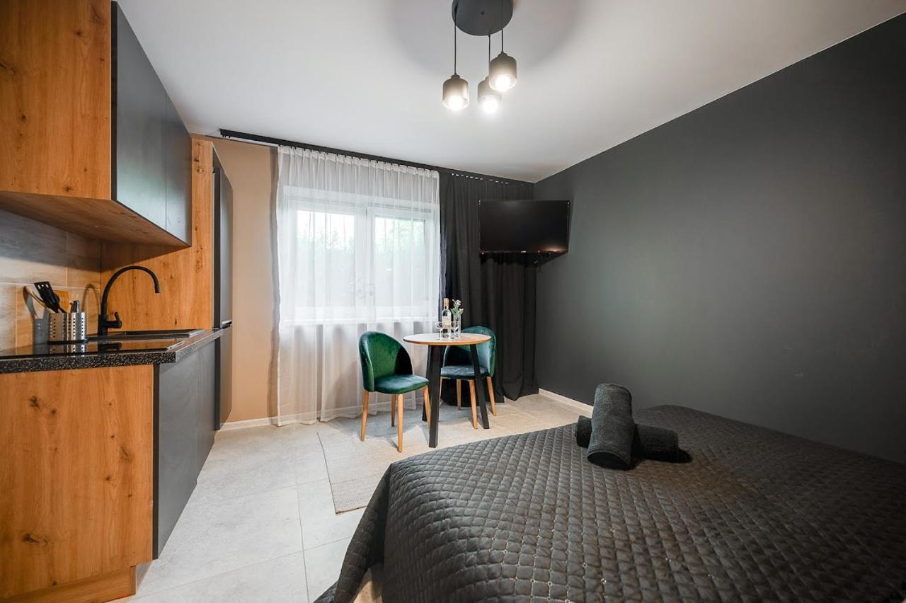Loft House Apartment Studio z ogródkiem 1 Rybnik  Exterior foto